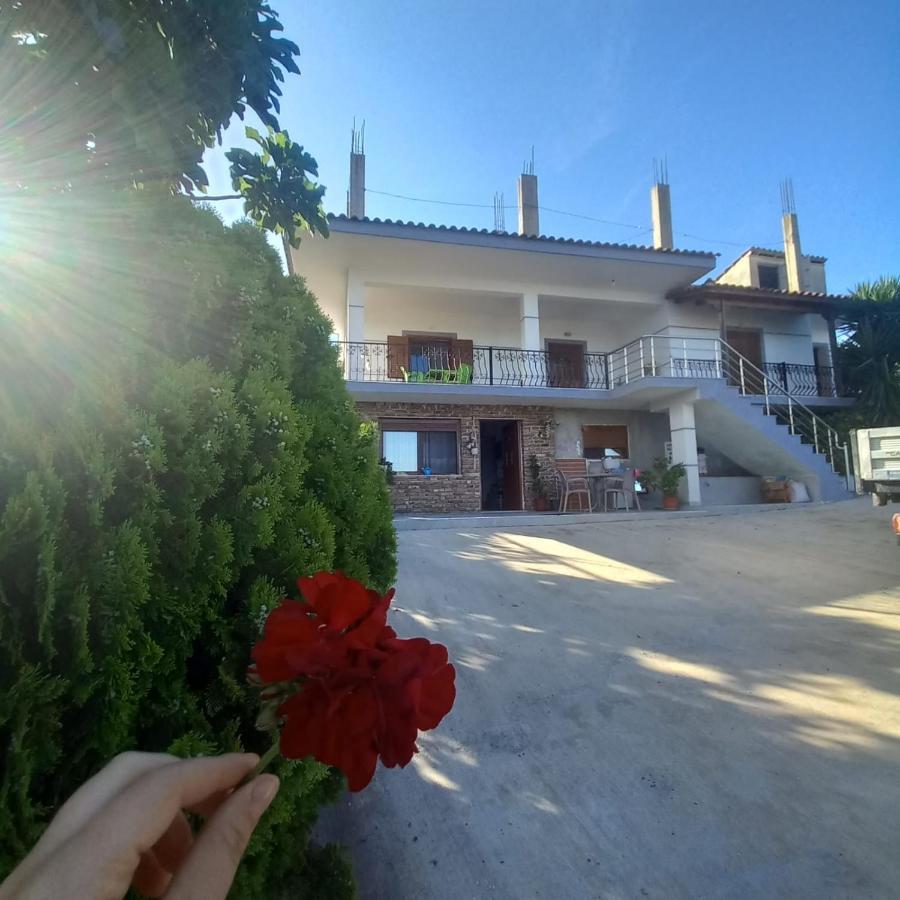 Vila Pasha Σαράντα Εξωτερικό φωτογραφία