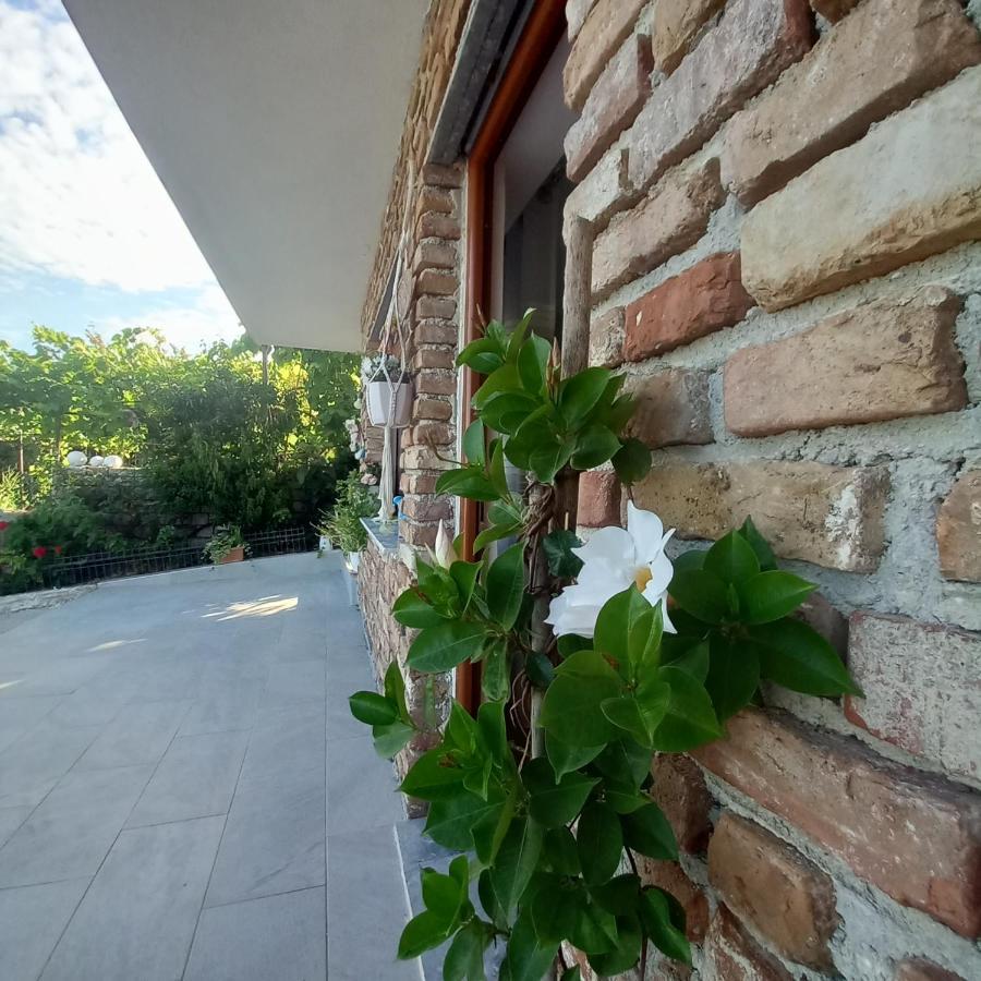 Vila Pasha Σαράντα Εξωτερικό φωτογραφία
