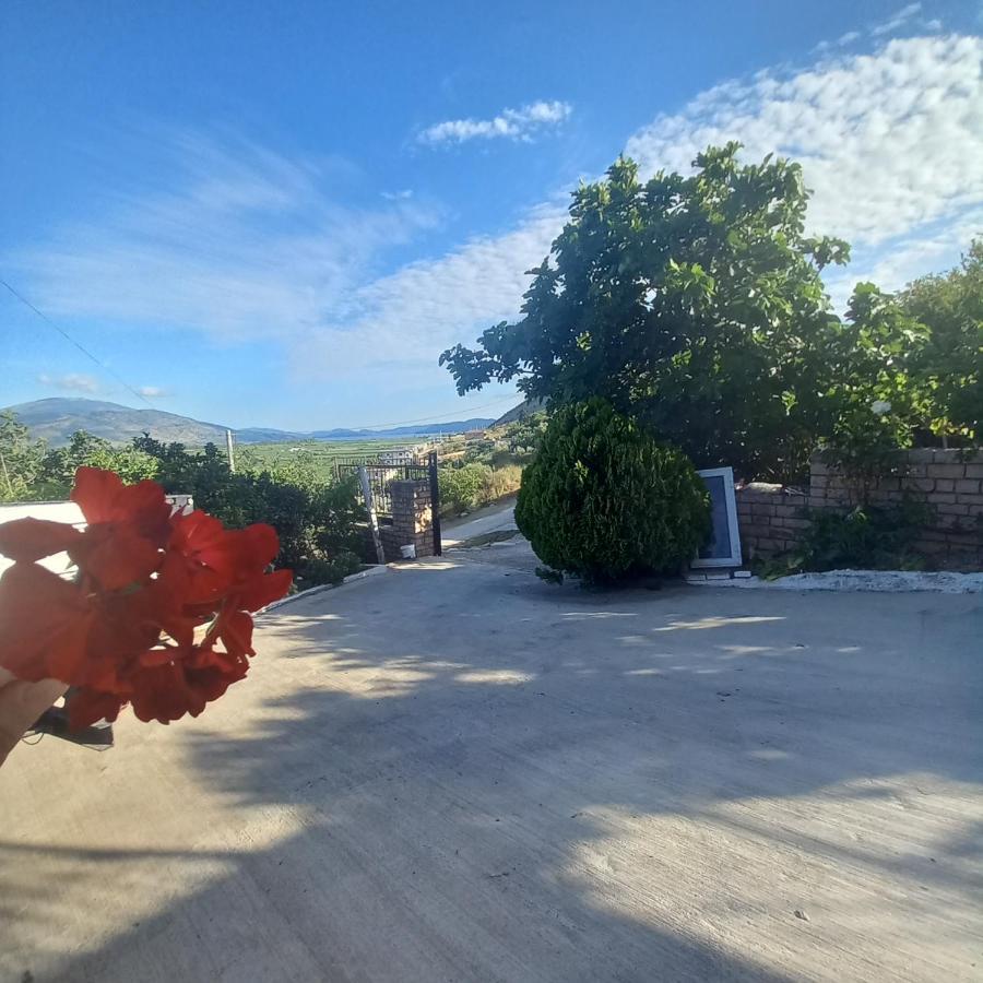 Vila Pasha Σαράντα Εξωτερικό φωτογραφία