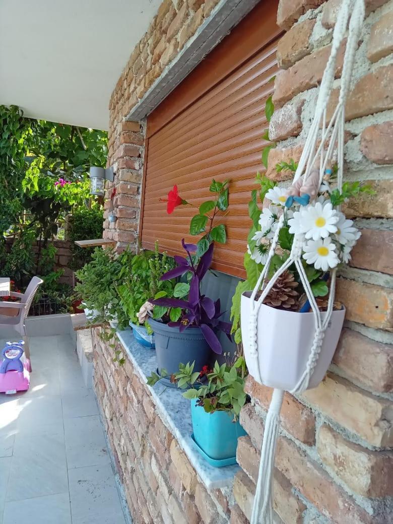 Vila Pasha Σαράντα Εξωτερικό φωτογραφία